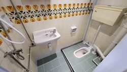 Dunearn Road (D11), Condominium #561562681